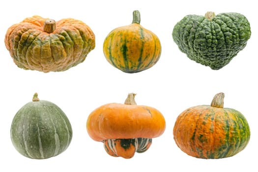 Miscellaneous pumpkins isolated on white background. Both pumpkins are ecological and natural, grew in rural garden. 
