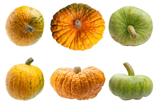 Miscellaneous pumpkins isolated on white background. Both pumpkins are ecological and natural, grew in rural garden. 