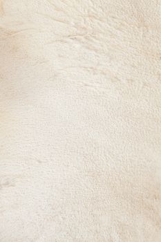 Soft beige leather of the two yeared fox. Textured background