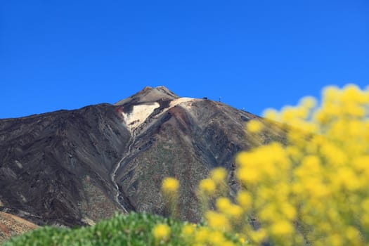Teide, Tenerife, Canary Islands, Spain. Photo of the volcano Mount Teide on Tenerife. Summer.