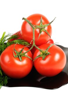 Tomatoes on a black plate with dill. Isolated on white.