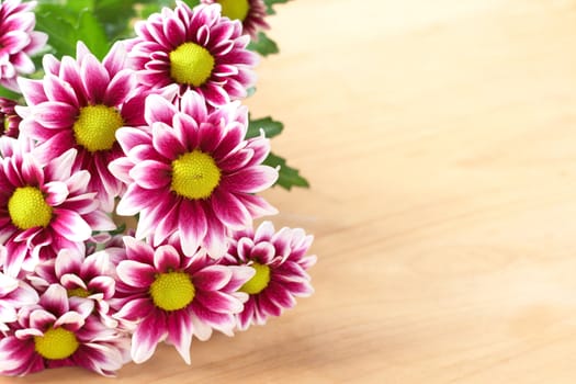 Beautiful pink flowers on brown wooden background with copy space