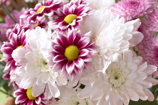 Bouquet of beautiful pink and white flowers 