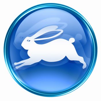 Rabbit Zodiac icon blue, isolated on white background.