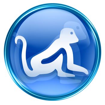 Monkey Zodiac icon blue, isolated on white background.