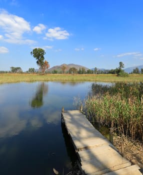 lake landscape with wooden pier