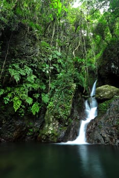 beautiful waterfall