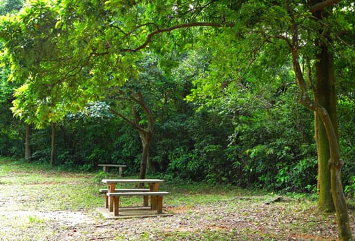 picnic place