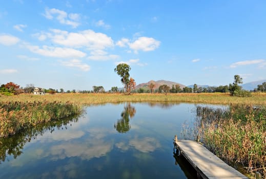 lake landscape with wooden pier