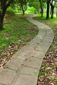 path in country side