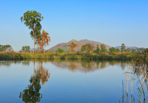 lake with clear water and trees