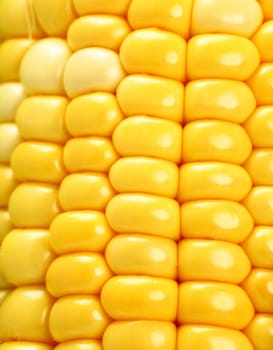 corn