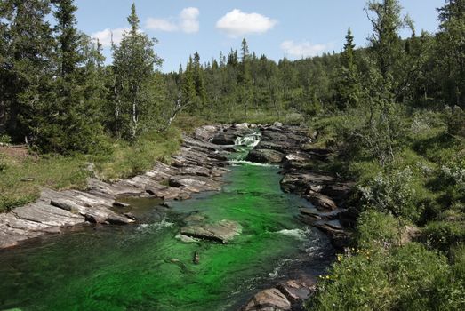 Polluted creek with green harmful water.