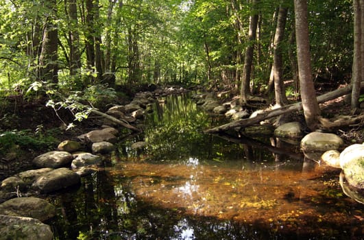 Beautiful calm river in green spring forest.