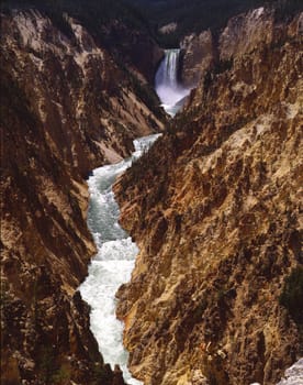 Lower Falls in Yellowstone National Park