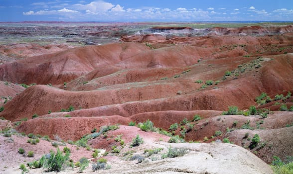 Painted Desert in Arizona