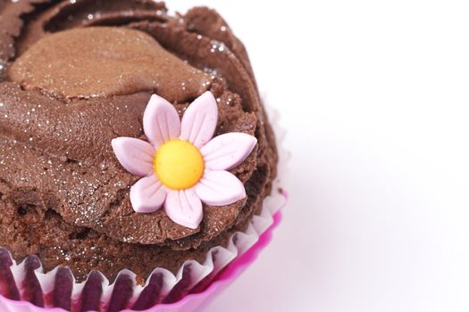 Chocolate cupcake with pink flower on white background