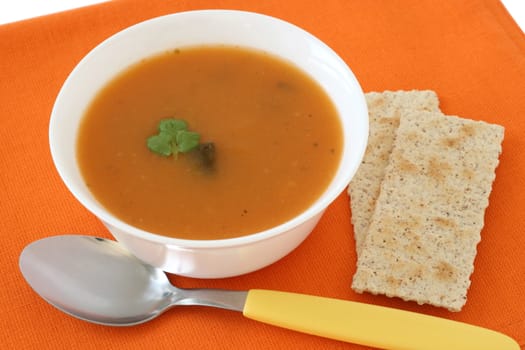 vegetable soup with crackers