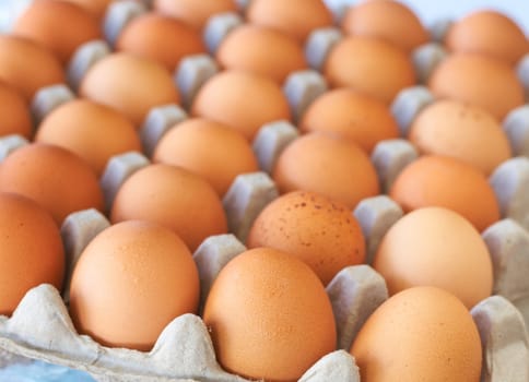 Full tray of freshly laid free range organic eggs