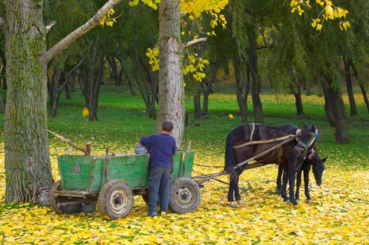 boy cares after the horse in the autumn forest