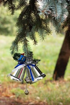 Outdoors Christmas tree decoration in global warming context (snow free)