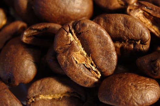 a macro of some coffee beans