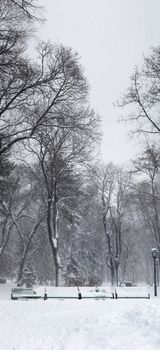 heavy snowstorm in the park. vertical panorama made from 5 images.