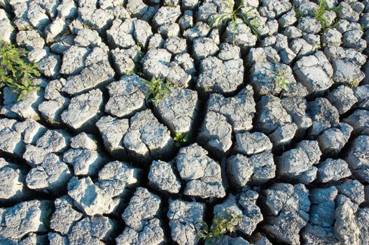 environment devastation background: cracked extremely dried ground 