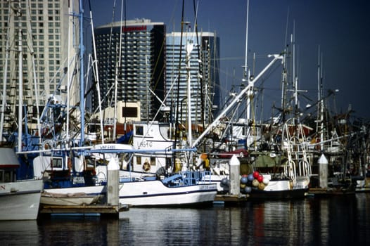 San Diego Fishing boats
