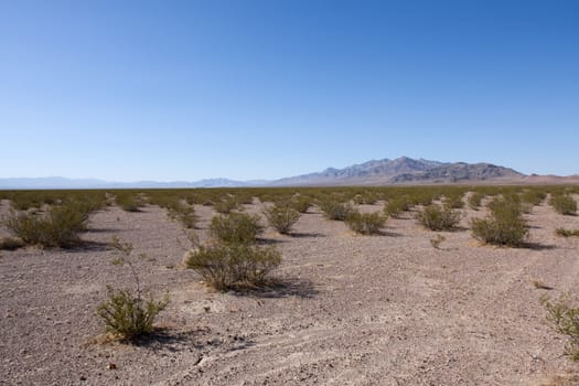 American desert in California over blue sky