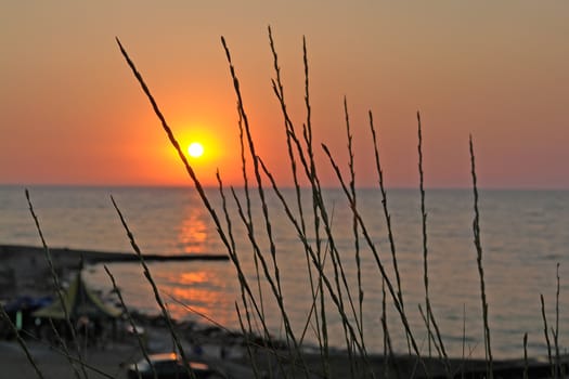 Blades on a background of an orange-red sunset from high seacoast                               