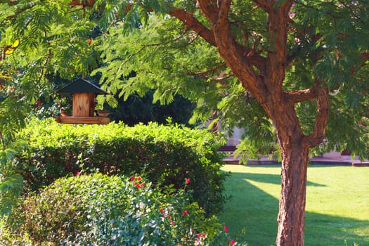 Beautiful green garden landscape on a summer day