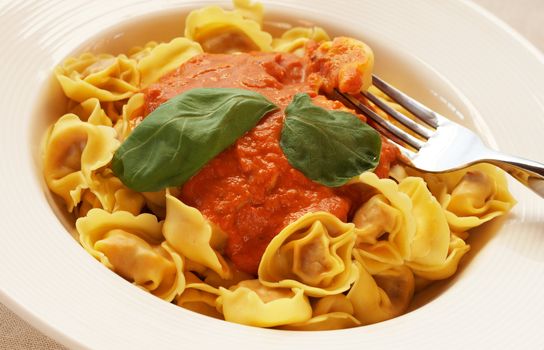 Plate of Italian bolognese tortelloni, fresh egg pasta made with durum wheat, with creamy tomato sauce and fresh basil leaves