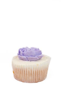 Fresh vanilla cupcake with purple buttercream icing rose on white background