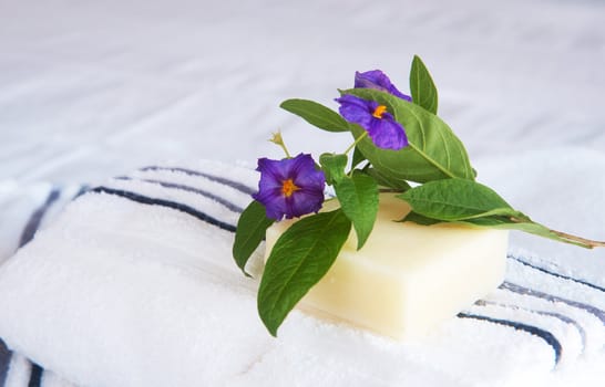 Beautiful violet flowers and soap on rolled up striped white and blue towels stacked on the bed