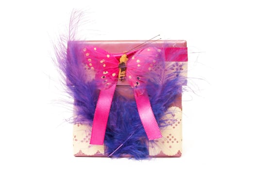 Small gift box with feathers and butterfly on white background