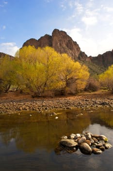 Peaceful River with Beautiful Yellow Tree and Desert Mountains and green plants with stones and reflection