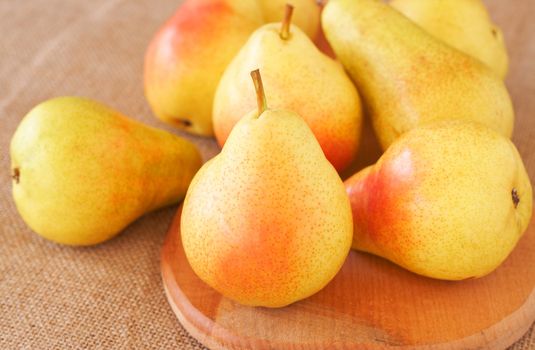 Bunch of ripe yellow pears on mesh background