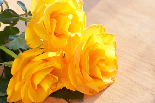 Bunch of yellow roses in sunlight on wooden background