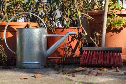 garden still life with tomatoe plants, ewer and broom in late summer