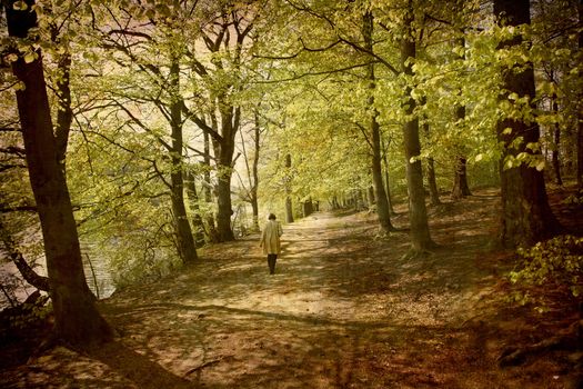 Artistic work of my own in retro style - Postcard from Denmark. - Lonely woman walking in the spring forest. More of my images worked together to reflect age and time.