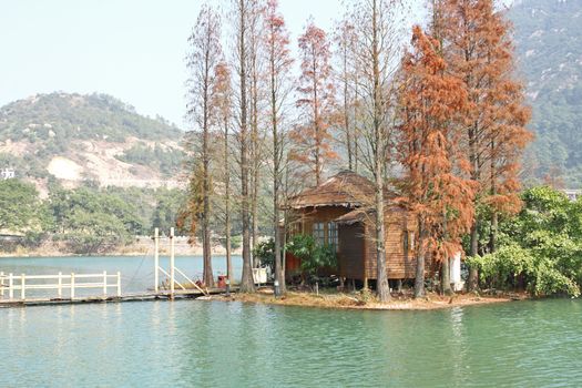 wood house on water and trees