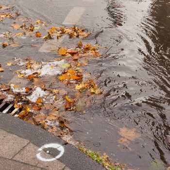 Hail, fall leaves and debris block up sewer hole restricting runoff flow.