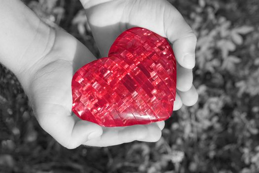 children's hands carefully holding a toy heart