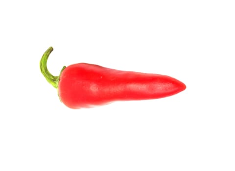 red chilly 