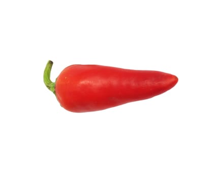 red chilly 