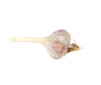 garlic isolated on white background 