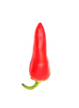 red chilly 