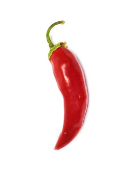 red chilly 