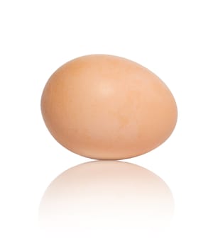 One egg on white background 